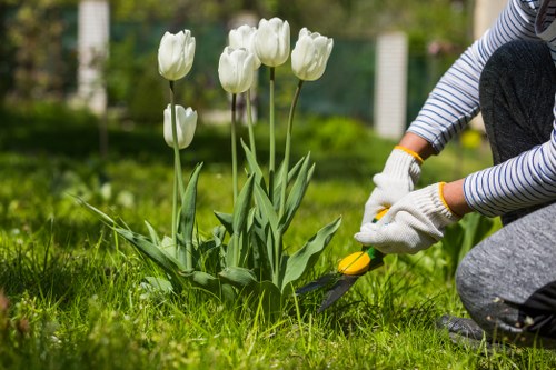 Professional patio cleaning restoring stone paving in East Barnet