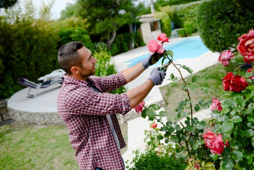 Customer complaint review for a garden service