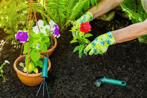 Routine garden safety checks before starting maintenance work