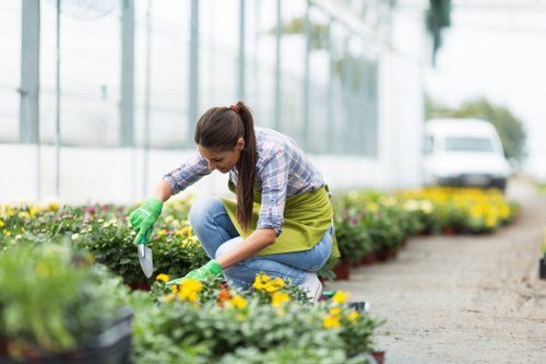 Professional hedge trimming and pruning services in East Barnet