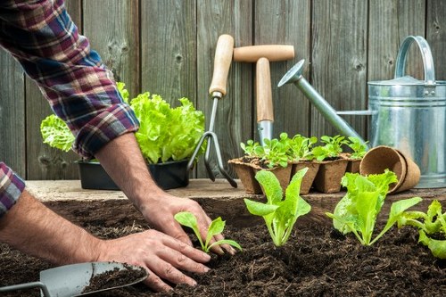 Gardeners East Barnet pricing overview with clear quote structure