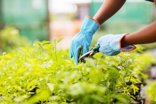 Gardener reviewing service terms before a booking begins