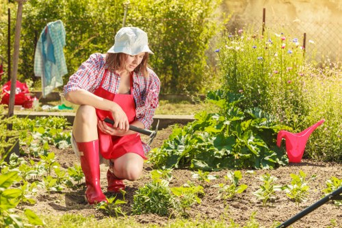 Gardeners East Barnet providing thoughtful care for a balanced outdoor space