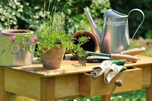 Seasonal garden upkeep in East Barnet with planting and lawn care