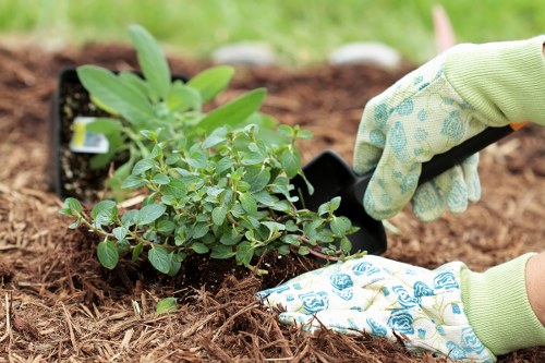 Lush landscape gardening features in an East Barnet residential garden