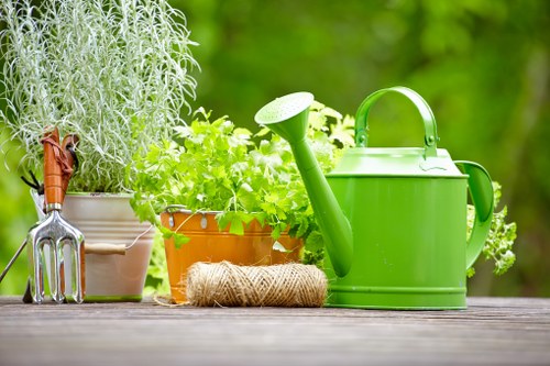 Professional garden clearance work in an East Barnet property