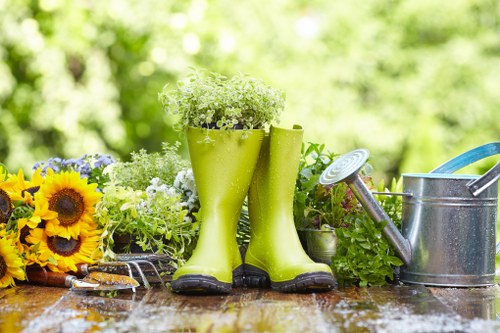 Seasonal lawn maintenance in East Barnet residential garden