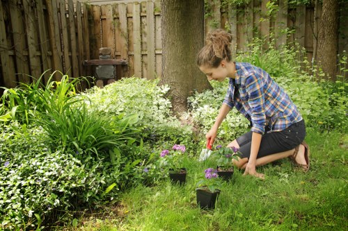 Final resolution stage of a gardening complaints process