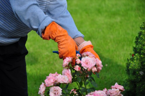 Garden waste separated for recycling in East Barnet