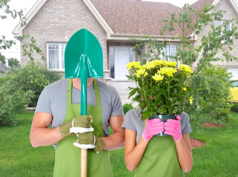 Seasonal hedge trimming work in East Barnet