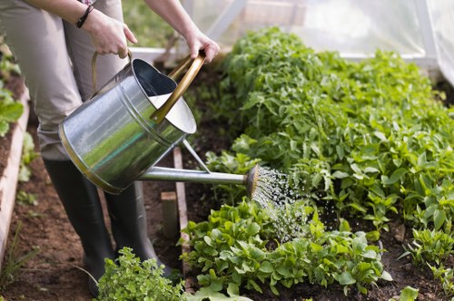Professional garden maintenance tasks in East Barnet