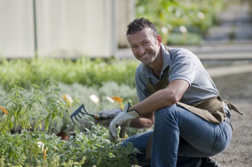 Garden hedge cutting service in East Barnet