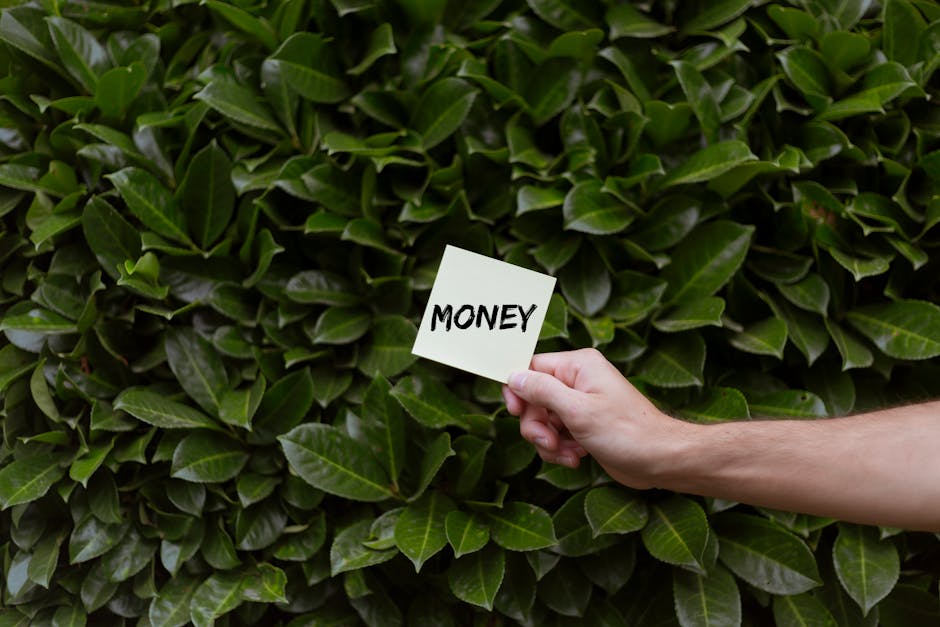 A close-up view of a dense, neatly trimmed hedge composed of glossy green leaves with a smooth texture. In the foreground, a person's hand is visible holding a small white card with the word 'MONEY' w
