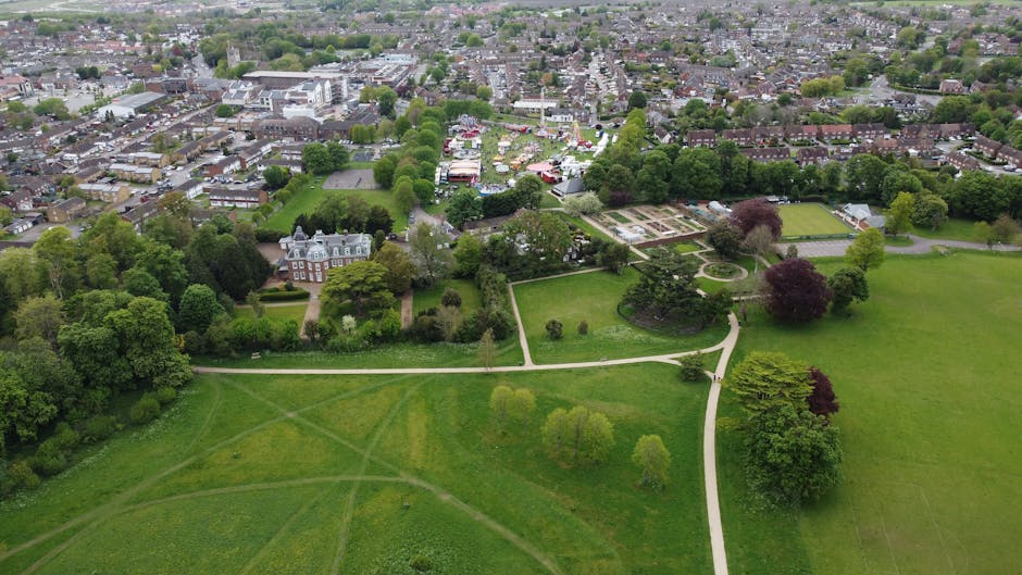 A large deciduous tree with a sturdy, straight trunk and a broad canopy of green and yellow leaves, standing in the center of a well-maintained lawn at Oak Hill Park. The grass is lush and green, with